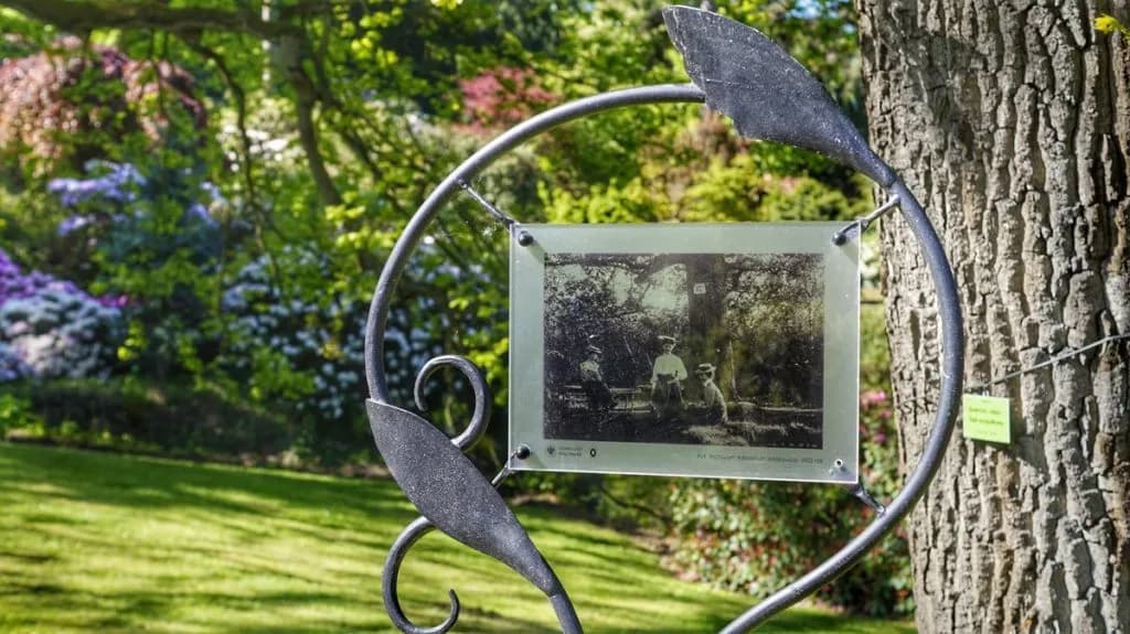 Najciekawsze atrakcje w Wojsławicach, które musisz zobaczyć