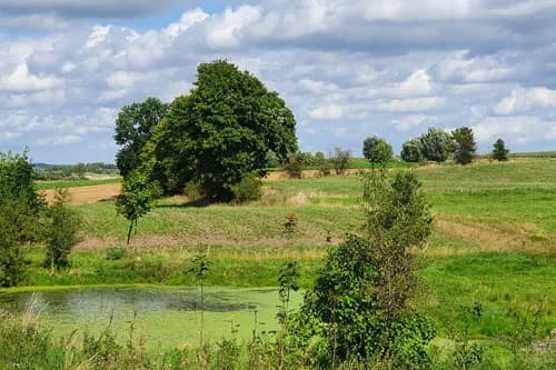 Gdzie leży nizina mazowiecka? Odkryj jej granice i sąsiedztwo
