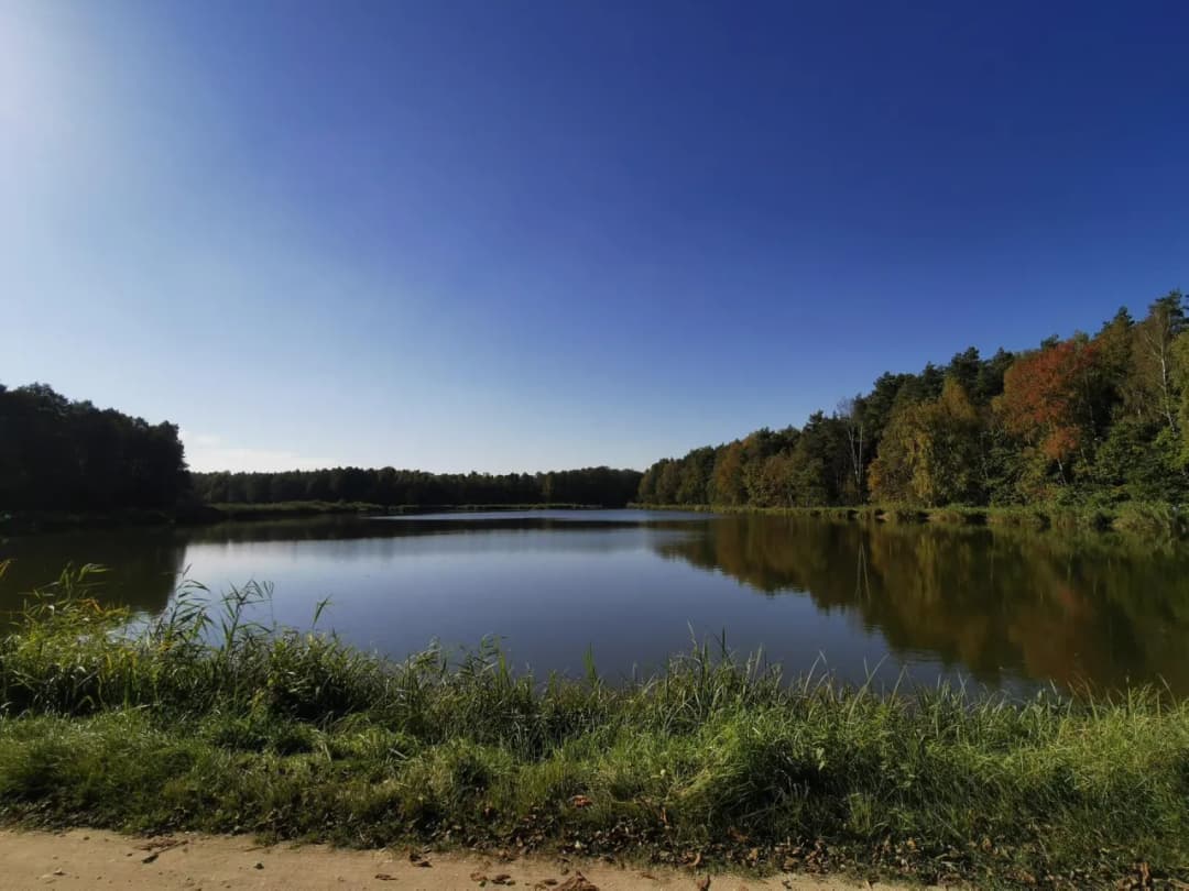 Atrakcje w Tarczynie, które zaskoczą każdego turystę