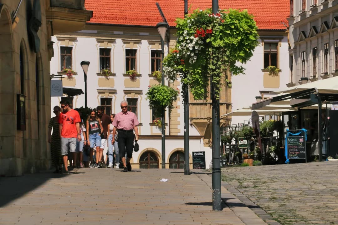 Ołomuniec gdzie zjeść: najlepsze miejsca na tradycyjne dania i więcej